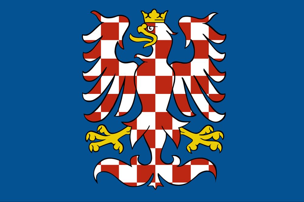 An heraldic eagle on a blue background.  The eagle is coloured white and red in a pattern that looks like it is transparent in a photoediting software.