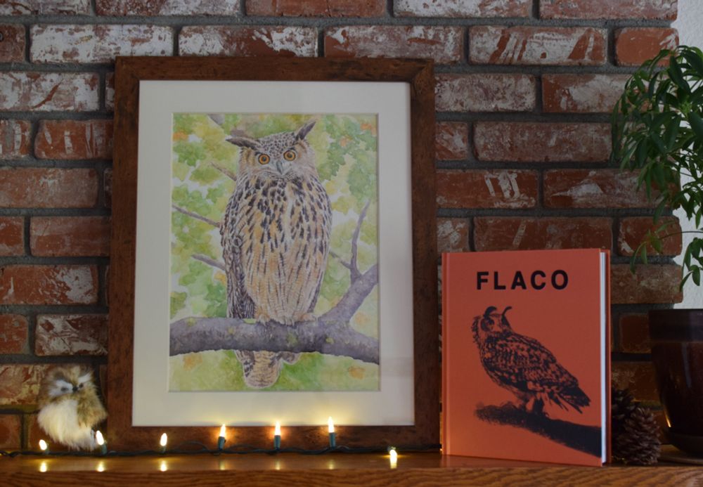 Watercolor painting and book on a mantle. Artwork and book of Flaco the owl.