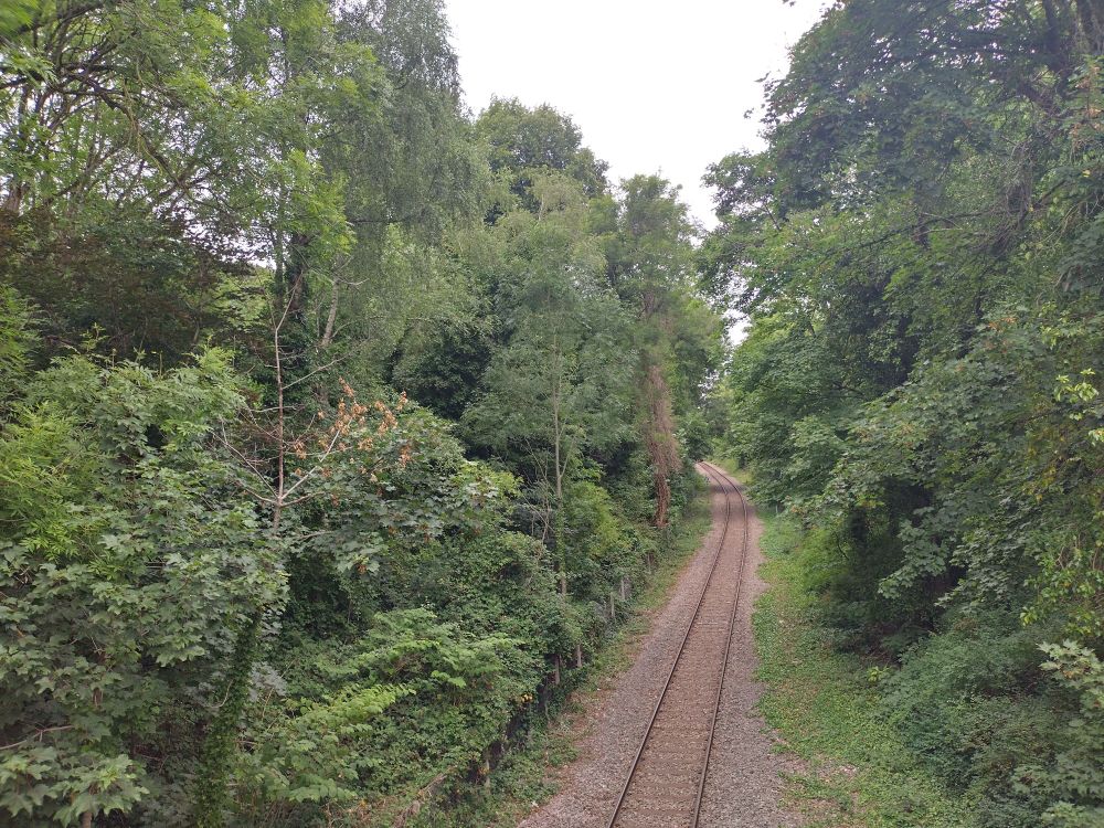 Single-track (for now) railway heading towards Royal Portbury Dock and (one day) Portishead 
