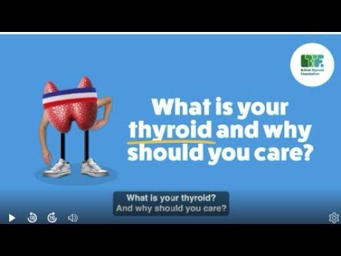What is your thyroid? BTF thyroid explainer video