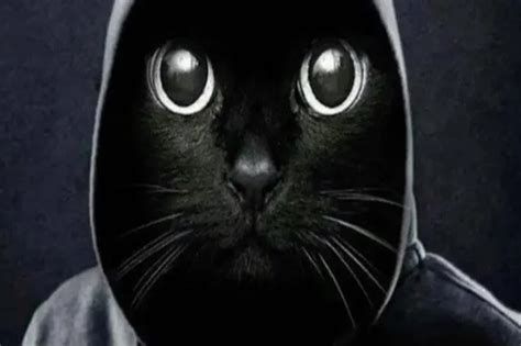Мем: "О как"