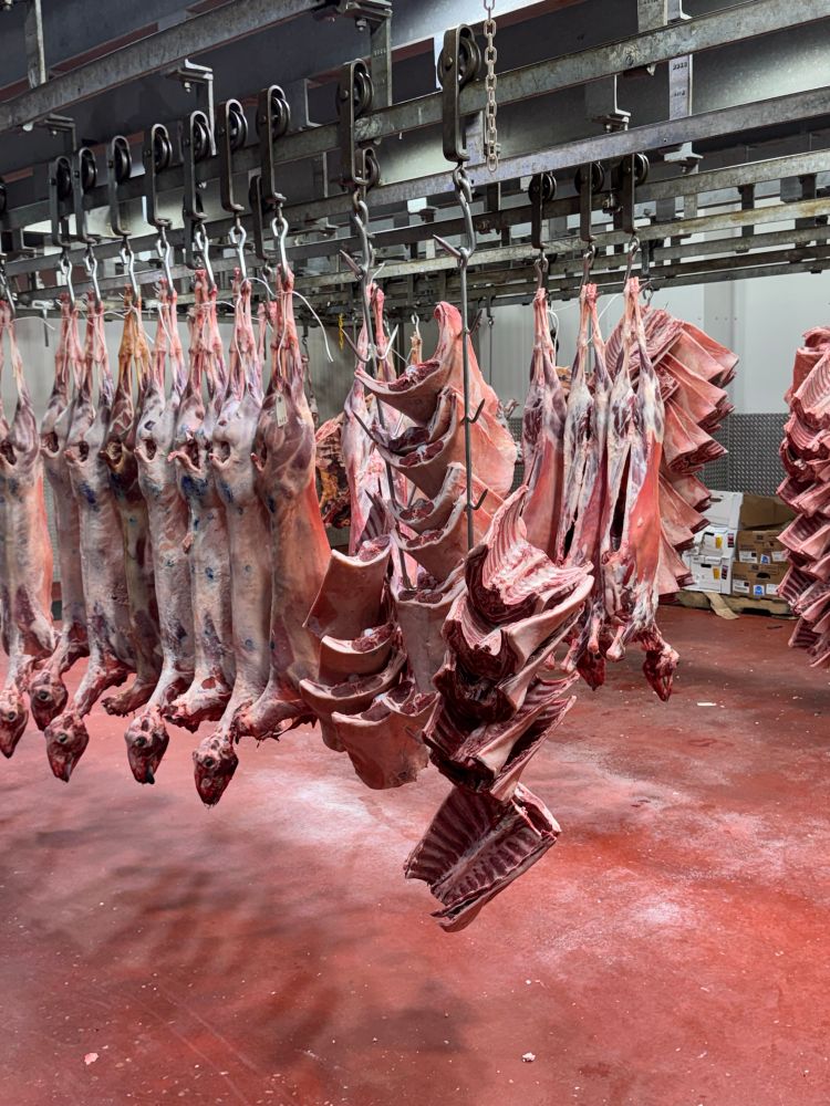 Inside the freezer at Berry & Sons halal butcher. 