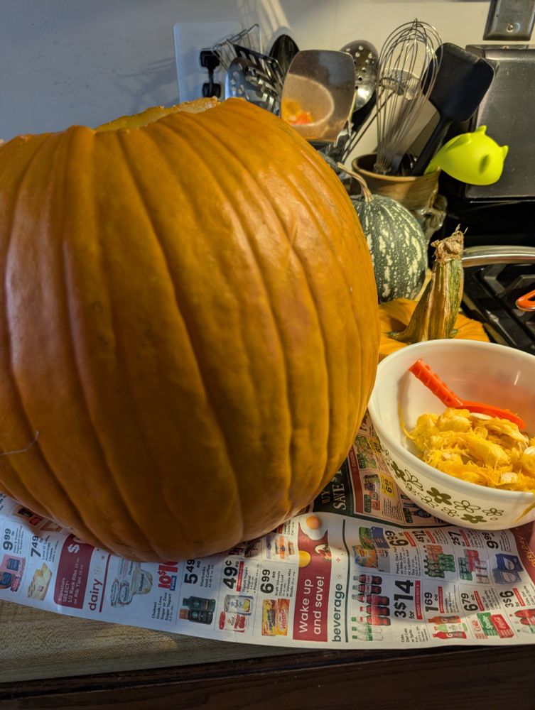 A large pumpkin, top cut off already, on some newspapers lining. A bowl next to it contains pulp and seeds that have been scooped out