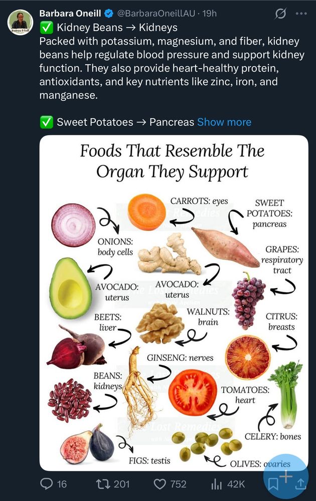 Barbara Oneill
@BarbaraOneillAU • 19h

Foods That Resemble The Organ They Support
CARROTS: eyes
ONIONS: body cells
SWEET POTATOES: pancreas
GRAPES: respiratory tract
AVOCADO [actually this is ginger]: uterus
BEETS: liver.
AVOCADO: uterus
WALNUTS: brain
CITRUS: breasts
GINSENG: nerves
BEANS: kidneys,
TOMATOES: heart
FIGS: testis
CELERY: bones
OLIVES: ovaries