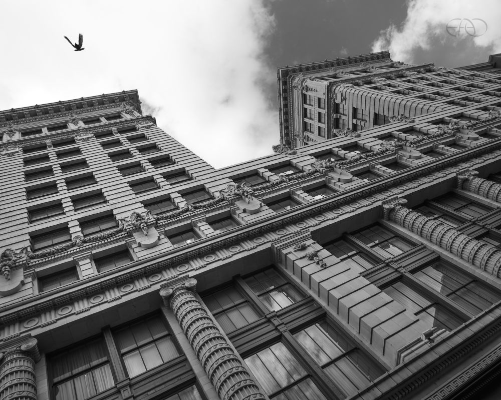 The ornate facade of the Ritz-Carlton with its early 20th century Beaux Arts style architecture. The angle is dramatic, shot upward from the street below. The details are evident in the striking masonry work. High above, a bird spreads its wings against a cloudy sky.