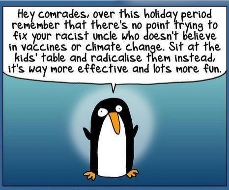 comic with Brenda
"Hey comrades, over this holiday period remember that there's no point trying to fix your racist uncle who doesn't believe in climate change. Sit at the kids' table instead and radicalize them. It's way more effective and lots more fun."