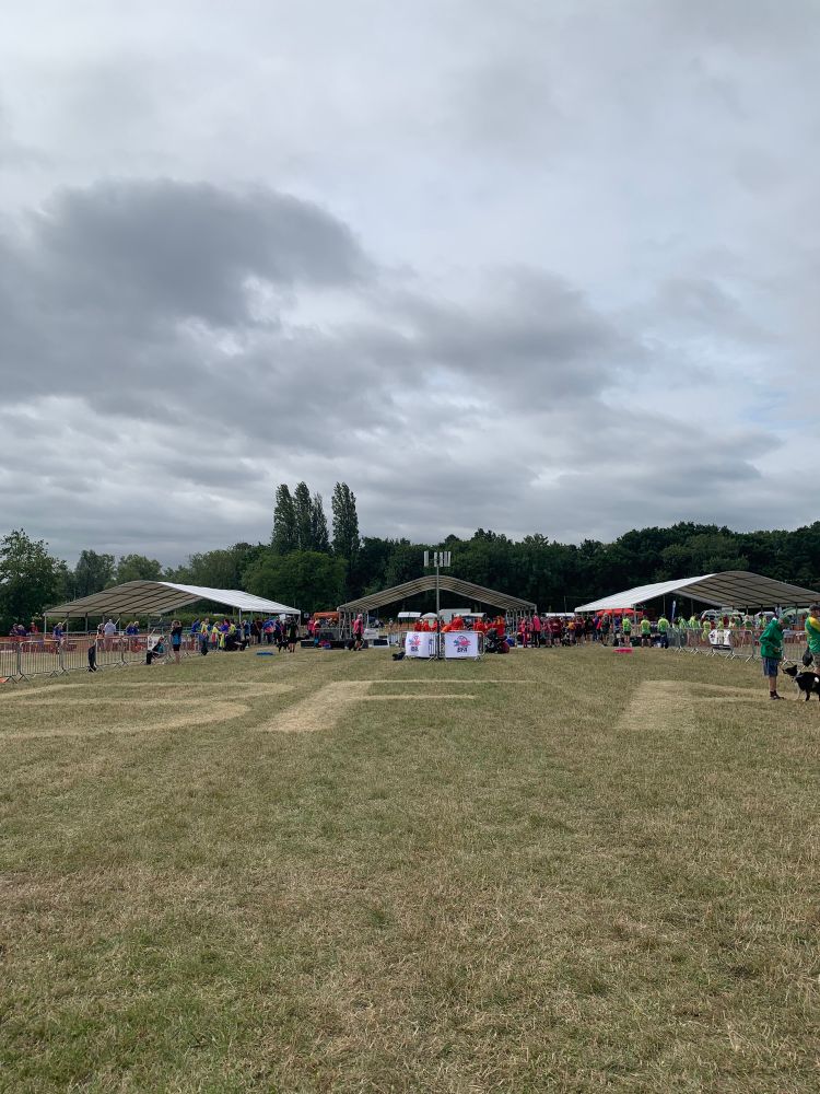 A large expanse of turf, into which is mown the giant letters BFA. Three large marquee covered rings are visible in the distance, dotted with people.