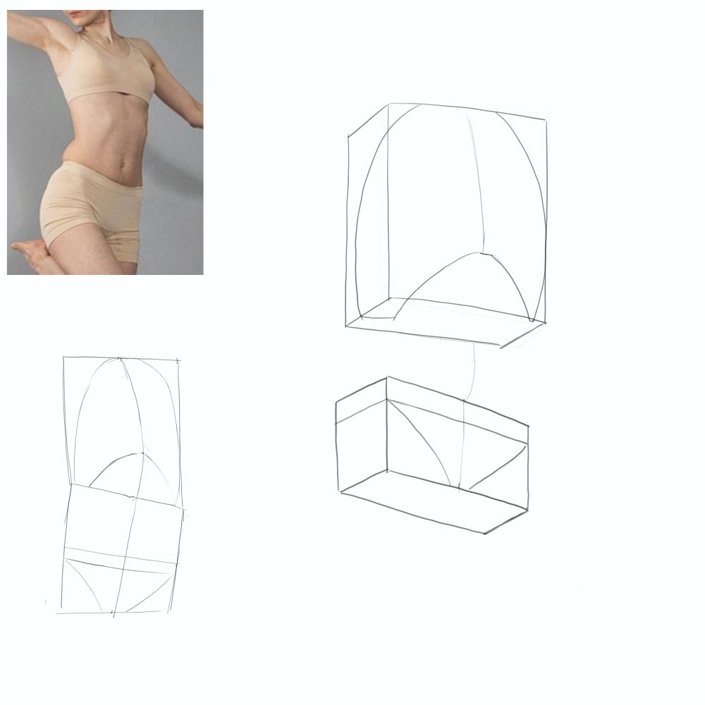 ribcage and pelvis practice