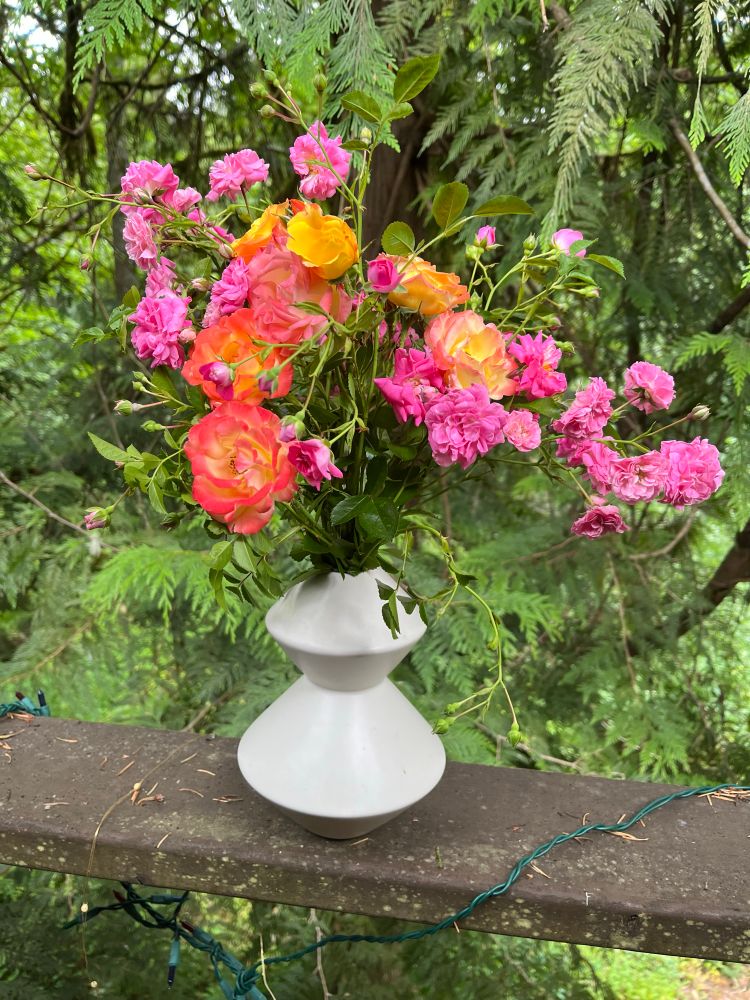 A bouquet of pink and orange roses in a modern, white vase against a backdrop of cedar trees. 