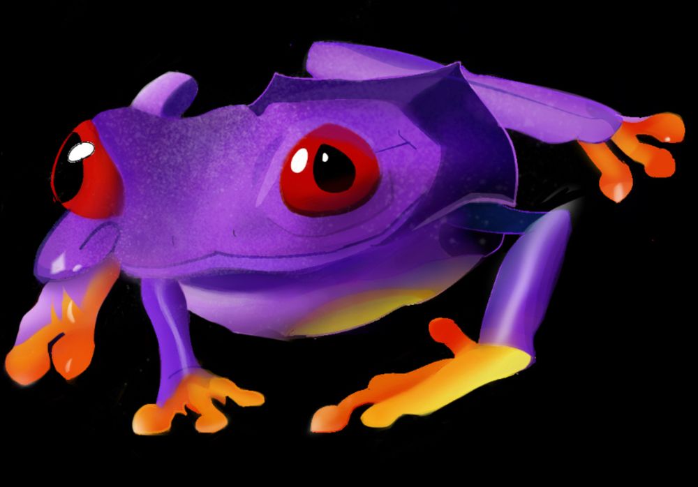 Red eyed tree frog that is purple