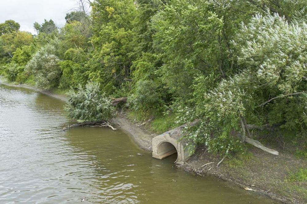 Le facteur humain | De l’évier à la rivière