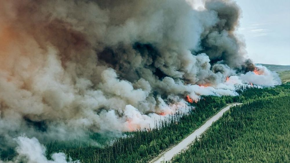 Risque important de feux de forêt sur la Côte-Nord; mise en garde de la SOPFEU