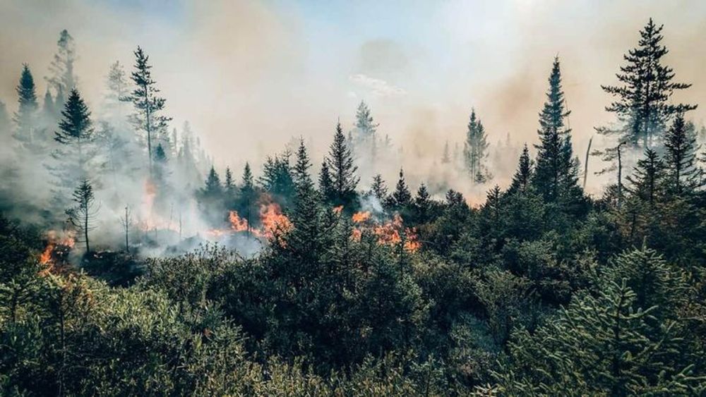 Feux de forêt: la SOPFEU appelle les chasseurs à la prudence