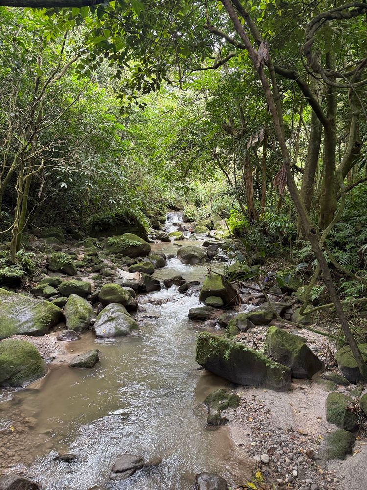Tiny waterfall over small rapids of stream running along the trail