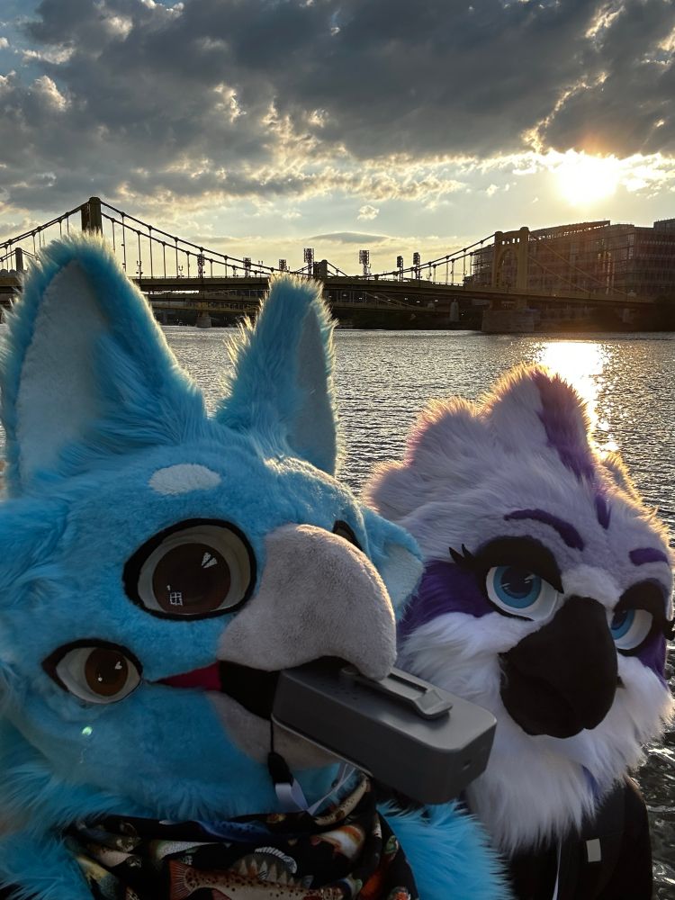 2 birds chillin at Anthrocon