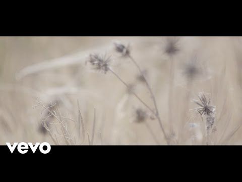 YouTube video by DrinkTheSeaVEVO