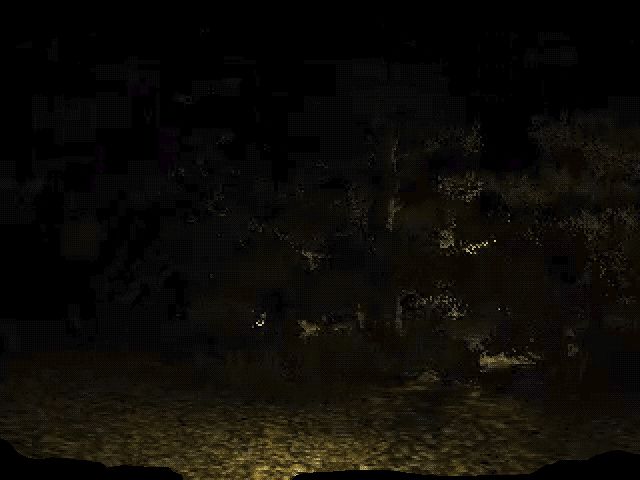 Running through a forest at night, light glimmers from flashlights, bouncing on the ground and leaves as we close in ... on something.