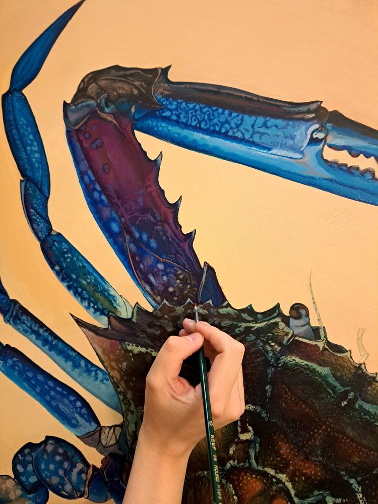 An acrylic painting of a blue swimmer crab showing a close-up view of the claw and the painter's hand adding details.
