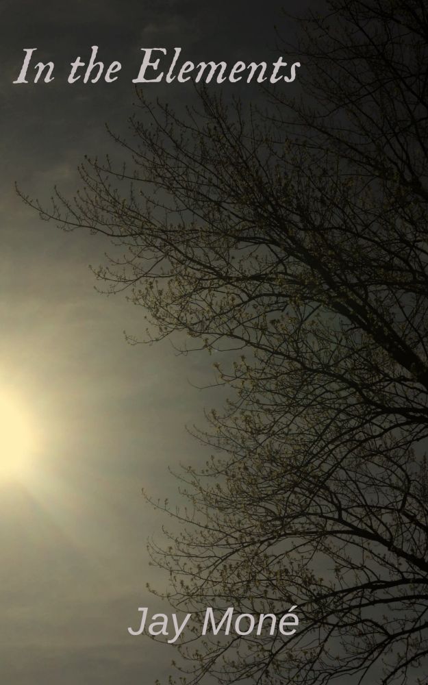 Cover for In the Elements by Jay Moné. Tinted image of a sky with the sun and a bare tree. 