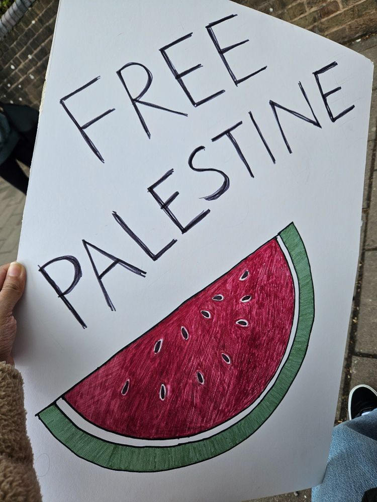 Placard showing watermelon slice and the words "FREE PALESTINE"