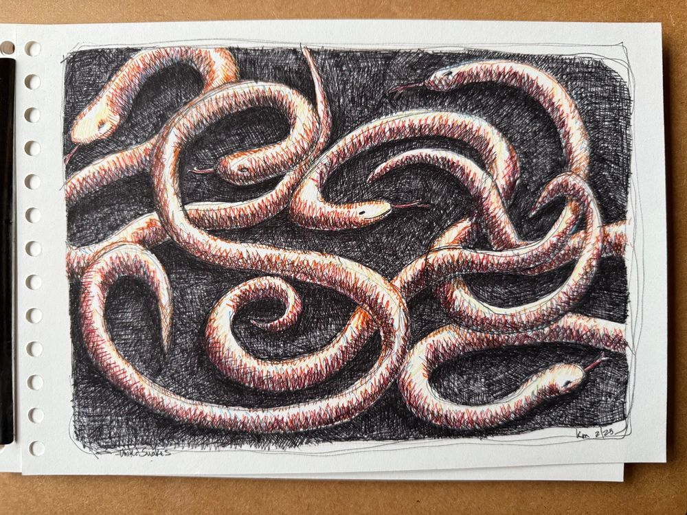 Loose I nk drawing of a pile of snakes.
