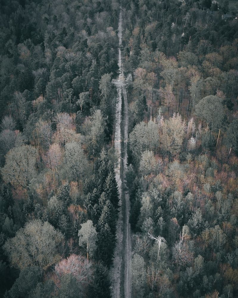 Droneshot of Crossing Roads