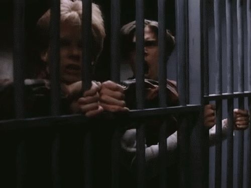Ein gif das Bobby and Marc zeigt, wie sie aus irgendeinem Grund bellen 