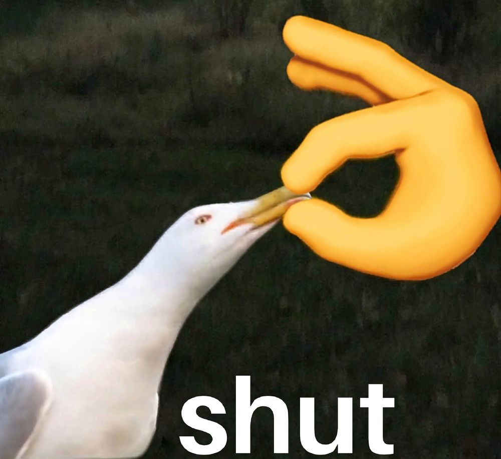 emote de ok hand cerrándole el pico a una gaviota, con un texto debajo diciendo "shut"