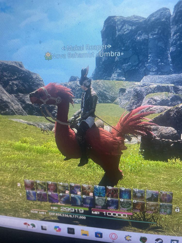 A red chocobo that’s actually tame. Holy shit