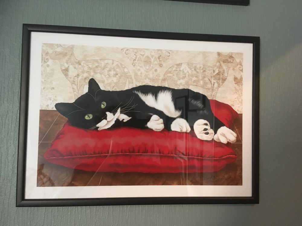Our tuxedo cat seen lounging on a red pillow with a serene look plastered across her face. The wallpaper shows Egyptian-inspired cats. 