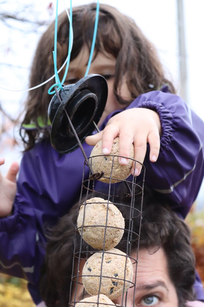 The 4 y.o on Graham’s shoulders puts the last ball of bird food into the metal feeder seen in the foreground. 