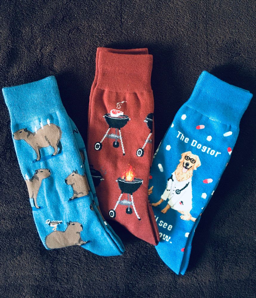 Added some silly socks to the collection: capybara, bbq and doctor-dog themed