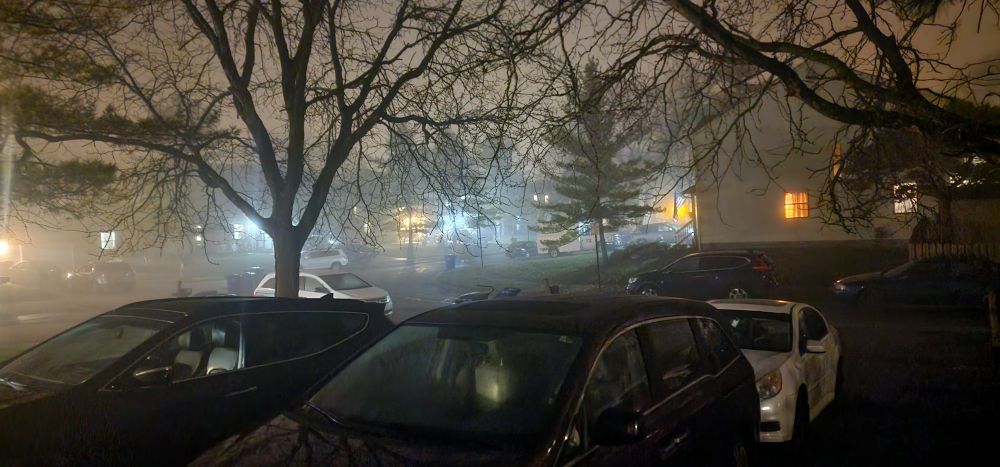 A foggy scene. Cars parked in a driveway and trees silhouetted by porch lights
