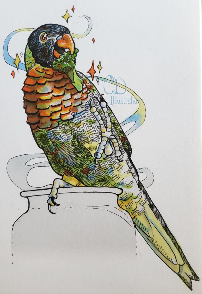 A colored pen and ink drawing of lorikeet excitedly holding a piece of broccoli and reaching out with one talon. It's eyes are glimmering and head surrounded by orange and yellow stars as it stands on an unshaded, uncolored jar with blue and yellow wisp coming out.