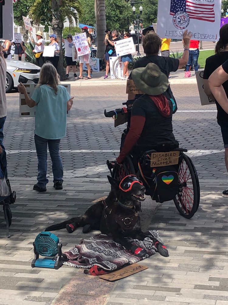 “Disabled Lives Matter” with an adorable black dog in googles sitting next to his/her owner.