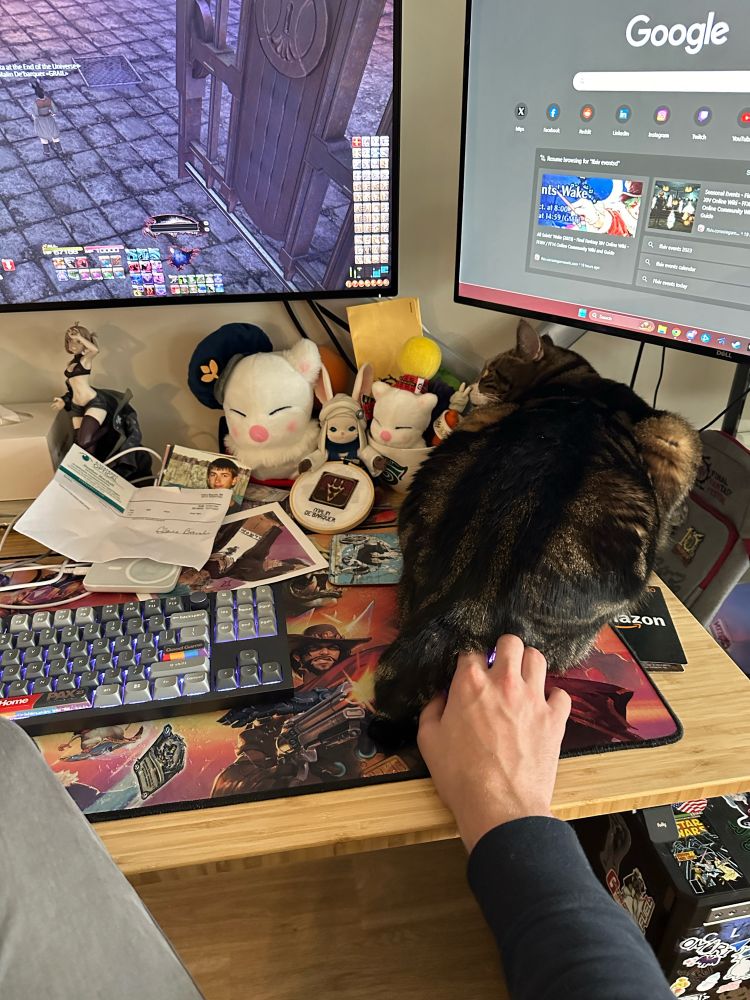 Freya, a large cat, puts her butthole on my mouse as I try to play FFXIV