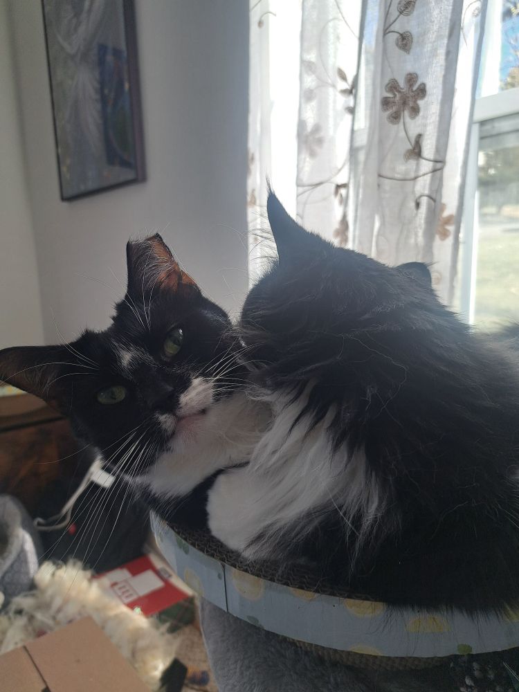 Marlene is getting groomed by Squeaker
