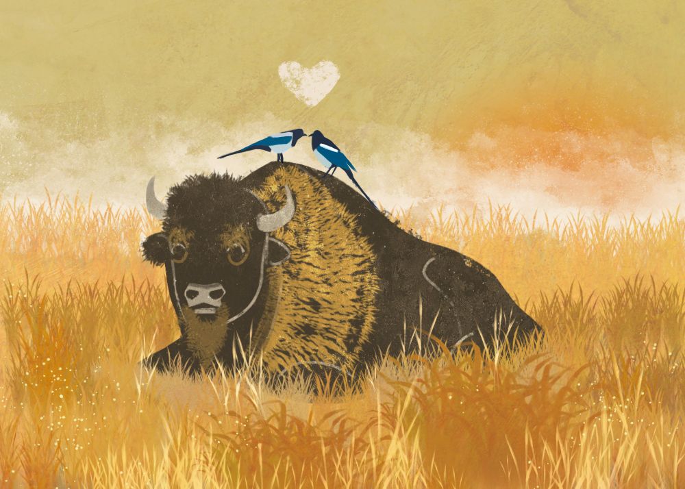 Digital painting of two birds in love on a buffalo. 