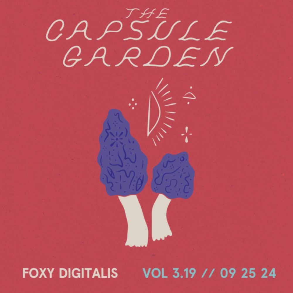 The Capsule Garden Vol 3.19: September 25, 2024