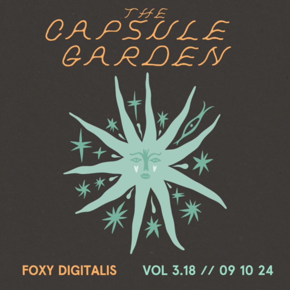 The Capsule Garden Vol 3.18: September 11, 2024