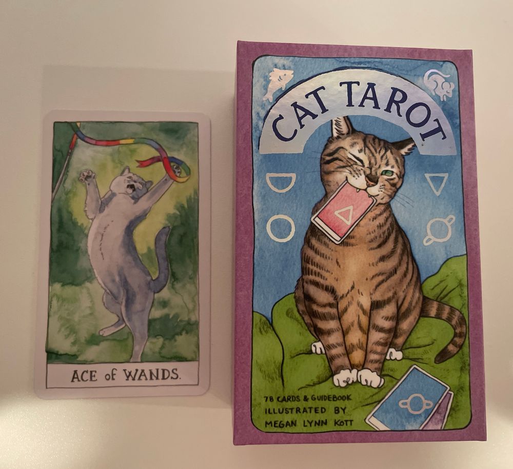 Ace of Wands from The Cat Tarot‼️😻❤️