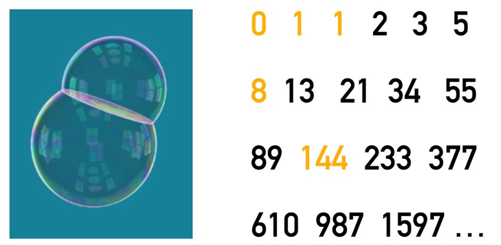 A picture of a double bubble. A picture of the first 18 Fibonacci numbers, with the ones that are perfect powers highlighted.