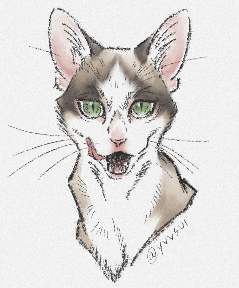 Digital illustration of a siamese cat with green eyes.