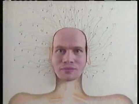 The Wallets - Totally Nude