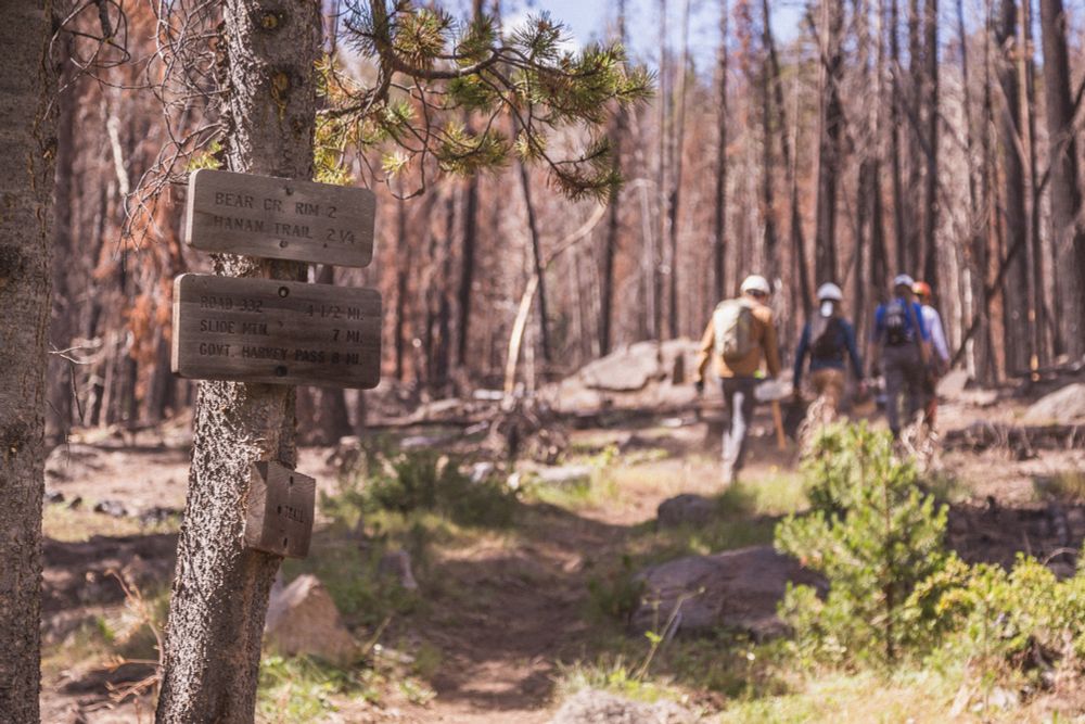 The Forest Service lost thousands of staff this year. Now, USDA’s staffing & reorganization plan could mean more layoffs, office closures, and reduced access to the outdoors.