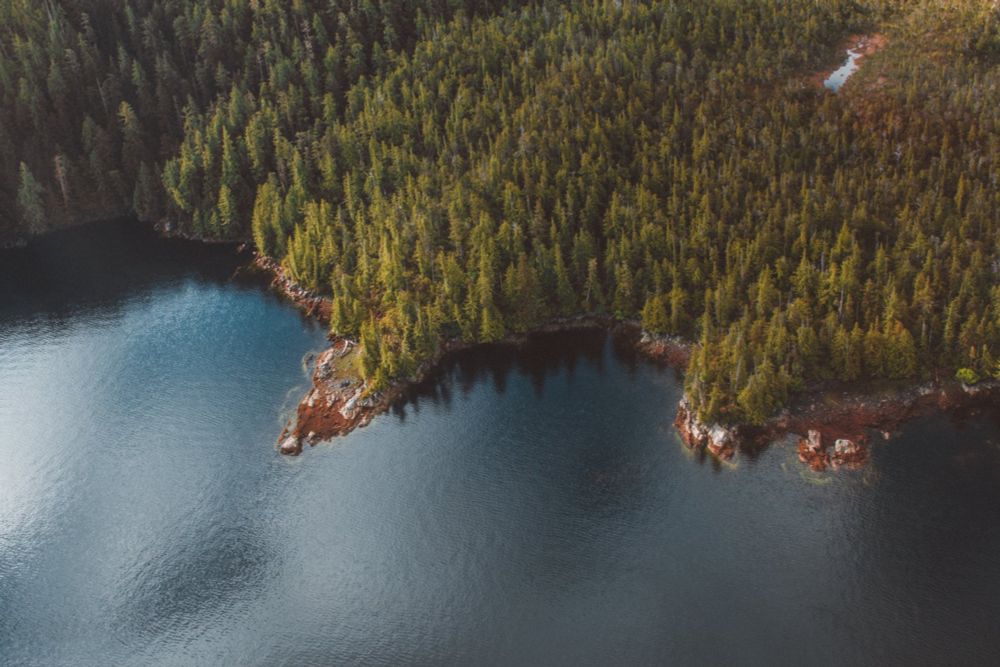 Help us protect our backcountry recreation areas. Roadless rules defend forests, and help preserve their clean air, clean water, and local habitat.