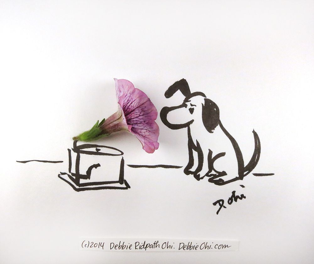 Ink drawing of a dog sitting and listening to a phonograph, with a real purple petunia flower used as the horn of the phonograph. Signed “D. Ohi” with the copyright noted as ©2014 Debbie Ridpath Ohi.