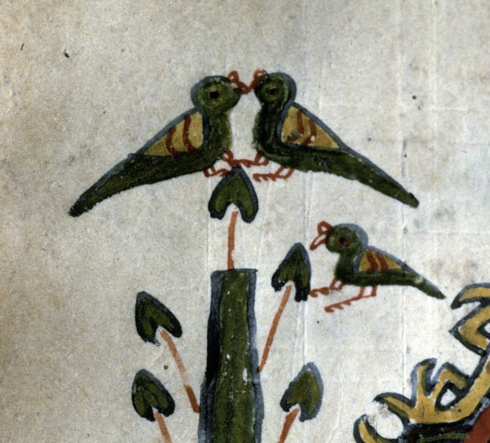 Detail from an Ethiopian arch decorating the Canon Tables. It shows two birds seated on a heart-shaped green leaf on top of a twig. Their beaks touch as if kissing.