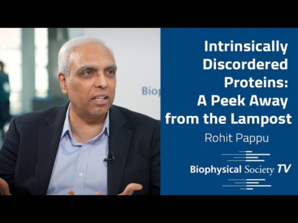 Intrinsically Disordered Proteins: A Peek Away from the Lampost