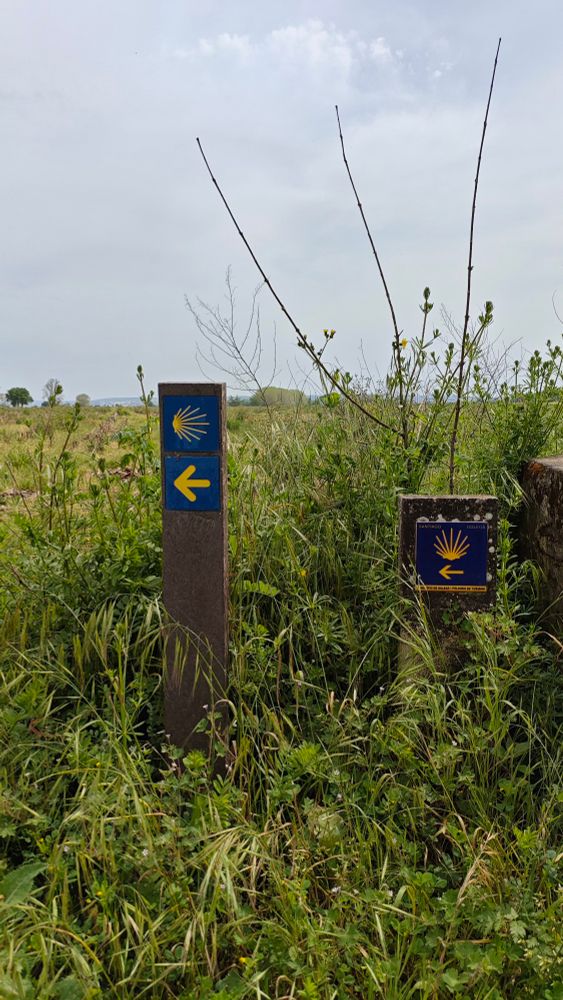 The Yellow arrows lead the way